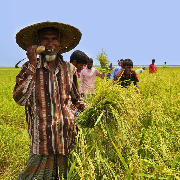 Farmer_of_Bangladesh